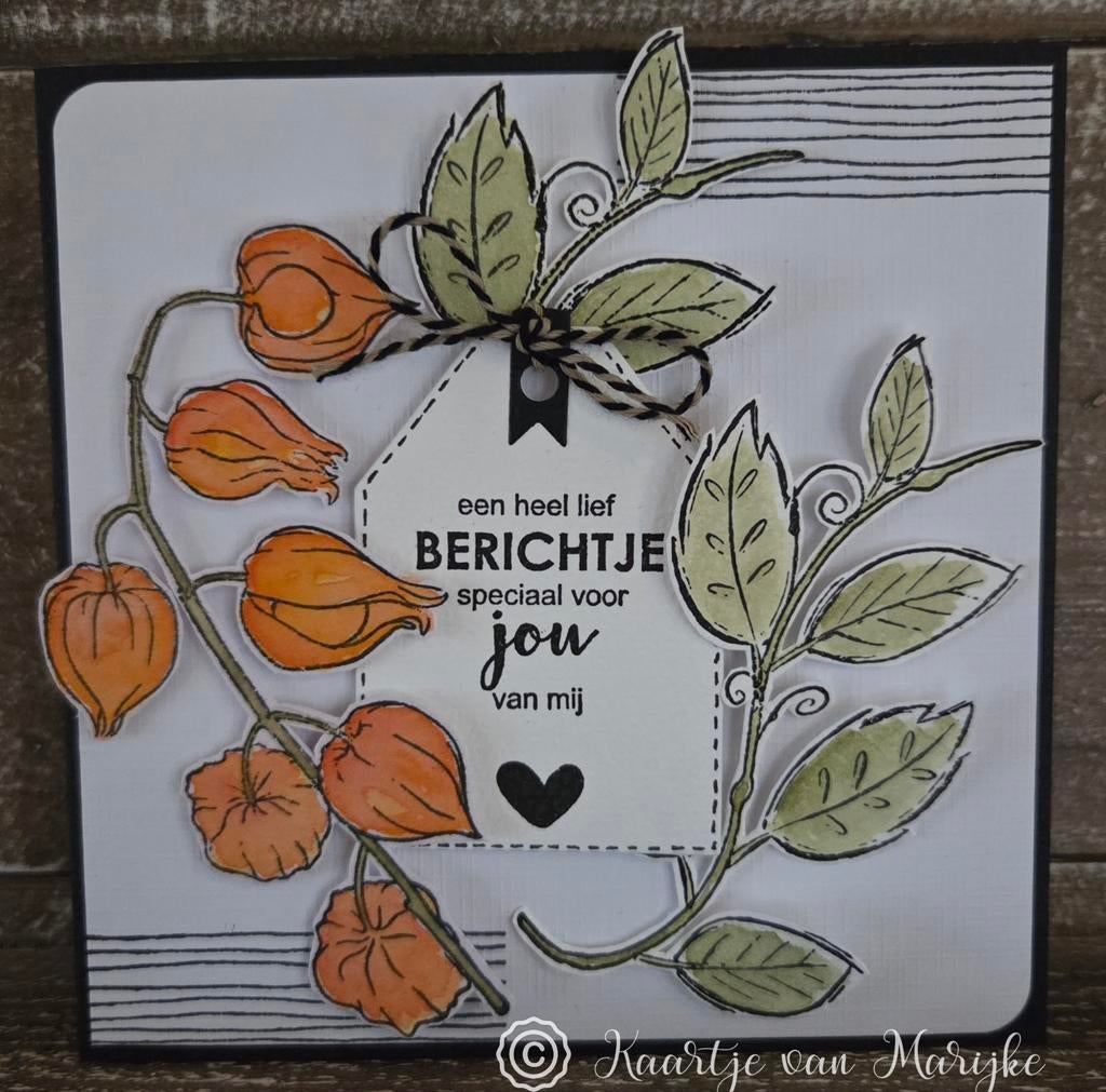 Kaart met lampionplant stempels en label, Ophalen of Verzenden, Nieuw, Natuur