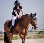 Allround E pony te koop, Dieren en Toebehoren, Pony's, Ruin, Z, E pony (1.48m - 1.57m), 11 jaar of ouder