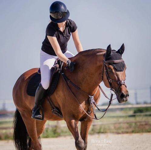 Allround E pony te koop, Dieren en Toebehoren, Pony's, Ruin, Z, E pony (1.48m - 1.57m), 11 jaar of ouder