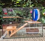 Mooie hamsterkooi met toebehoren., Kooi, Minder dan 75 cm, Zo goed als nieuw, Hamster