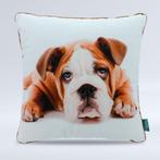 Intimo bulldog kussen, Wit, Vierkant, Ophalen of Verzenden, Info@dedierenoutlet.nl