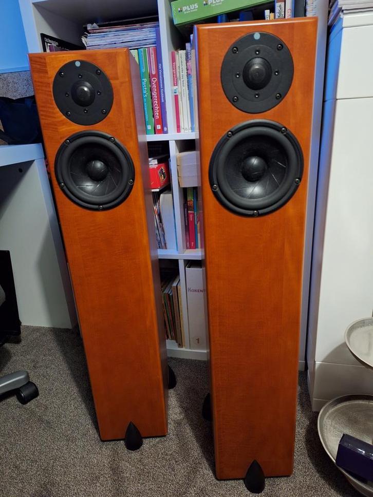 Totem Hawk, echte kanjers, mèt claws, Audio, Tv en Foto, Luidsprekers, Gebruikt, Overige typen, 60 tot 120 watt, Overige merken