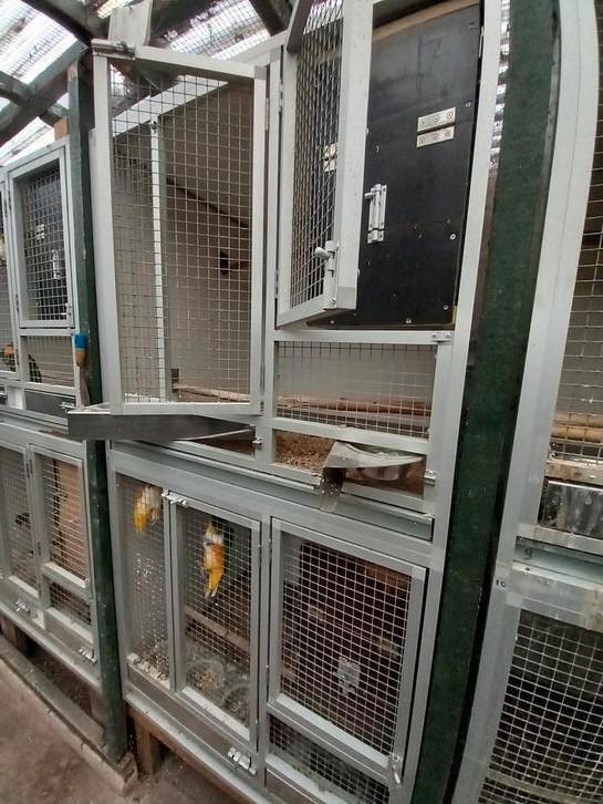 Tek: Kweekboxen aluminium, Dieren en Toebehoren, Vogels | Hokken en Kooien, Zo goed als nieuw, Volière, Aluminium, Ophalen of Verzenden