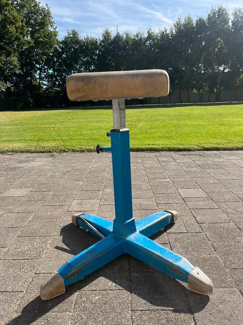 Gymbok/ turnbok, vintage, Sport en Fitness, Turnen, Gebruikt, Materiaal, Blauw, Ophalen