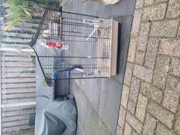 2 vogelkooien  beschikbaar voor biedingen