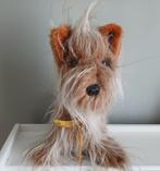 Oude Terrier hondje, Ophalen of Verzenden