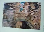 Ansichtkaart Spanje - Cueva de Nerja Columna de la sala, Ophalen of Verzenden, Zo goed als nieuw