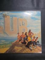 UB40 - Album, Cd's en Dvd's, Vinyl | Pop, Ophalen of Verzenden, 1980 tot 2000, Zo goed als nieuw, 12 inch