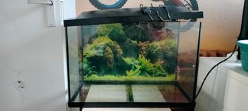Aquarium leeg met verlichting  beschikbaar voor biedingen