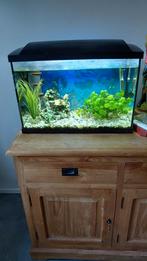 Mooie aquarium te koop (60 liter), Ophalen, Zo goed als nieuw, Gevuld zoetwateraquarium