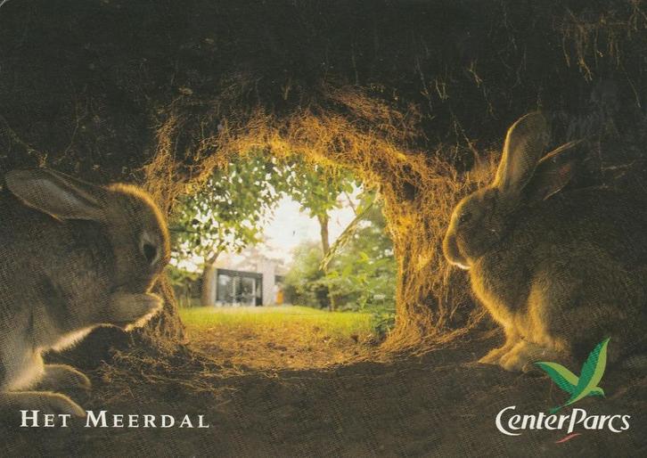 AMERICA Het Meerdal Center Parcs, Verzamelen, Ansichtkaarten | Nederland, Gelopen, Limburg, 1980 tot heden, Verzenden