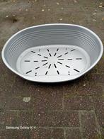 Honden mand, Dieren en Toebehoren, Ophalen