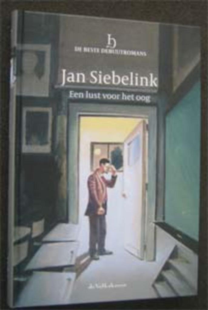 Jan Siebelink : Een lust voor het oog, Boeken, Literatuur, Zo goed als nieuw, Ophalen of Verzenden