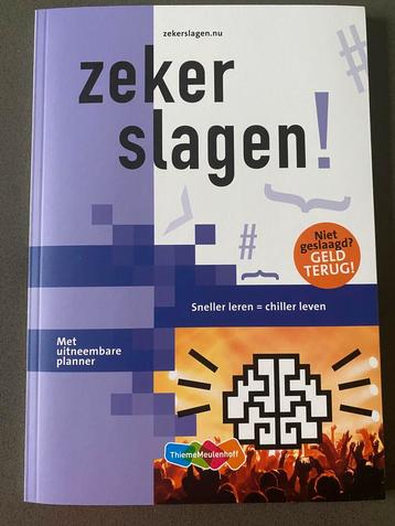 Nieuw: Zeker slagen! Sneller leren = chiller leven  beschikbaar voor biedingen