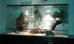 Terrarium 65*35*40 cm NIEUW aanbieding, Ophalen, Nieuw, Info@terraglas.nl, Terraglas