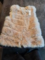 Dameskleding maat m/ l, Kleding | Dames, Bodywarmers, Ophalen of Verzenden, Zo goed als nieuw, Maat 38/40 (M)