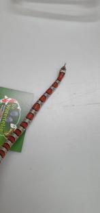 Lampropeltis leonis, Slang, Tam, 0 tot 2 jaar