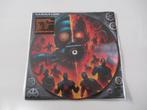 Rammstein LP Picture Disc, Cd's en Dvd's, Vinyl | Rock, Verzenden, Nieuw in verpakking, 12 inch, Overige genres