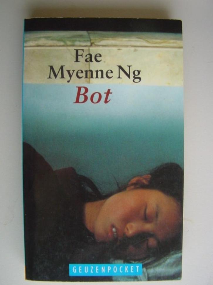 Fae Myenne Ng : BOT (BONE), Boeken, Literatuur, Zo goed als nieuw, Amerika, Ophalen of Verzenden