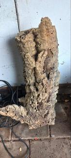 Terrarium grote slangen rots, Ophalen, Gebruikt, Tak, Plant, Rots of Steen