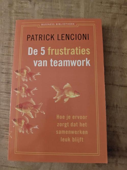 De 5 frustraties van teamwork - Patrick Lencioni, Boeken, Economie, Management en Marketing, Zo goed als nieuw, Management, Ophalen of Verzenden