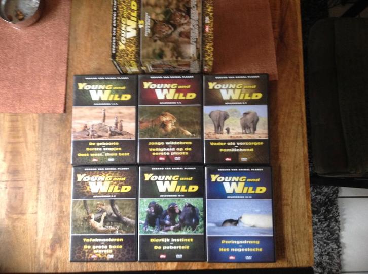 Young and Wild Box met 6 dvd,s( Origineel en in Nieuwstaat, Cd's en Dvd's, Dvd's | Documentaire en Educatief, Zo goed als nieuw