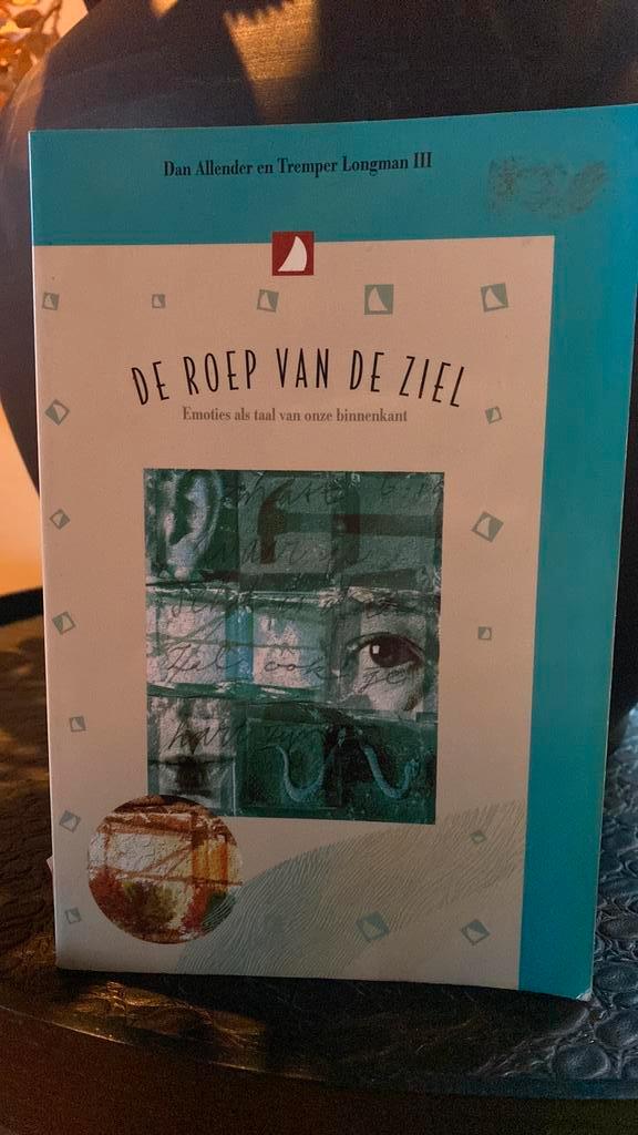 D. Allender - De roep van de ziel, Boeken, Godsdienst en Theologie, Zo goed als nieuw, Ophalen of Verzenden