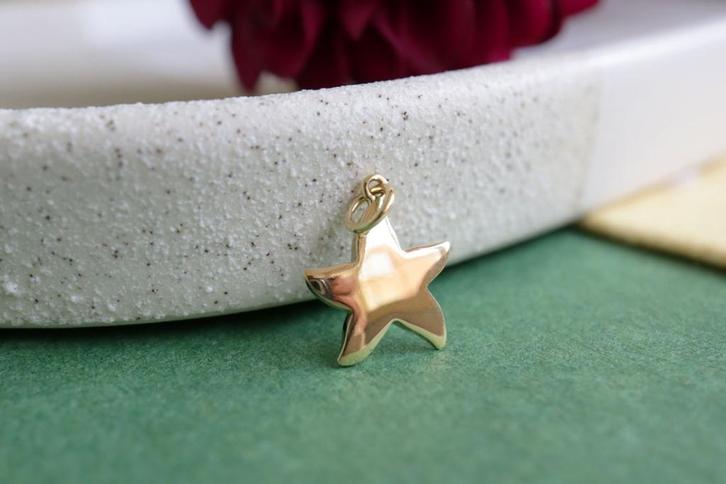 18 Karaat Gouden Ster Hanger, Sieraden, Tassen en Uiterlijk, Kettinghangers, Zo goed als nieuw, Goud, Goud, Ophalen of Verzenden