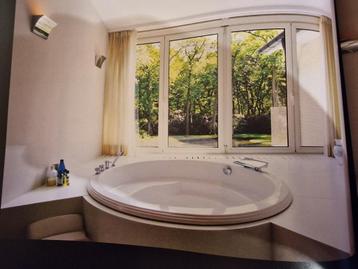 Jacuzzi 170cm beschikbaar voor biedingen