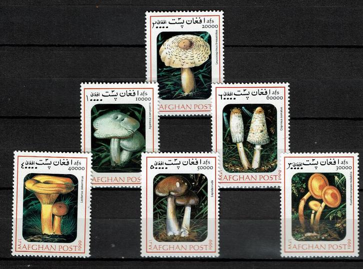 afghanistan 1999 pf dserie paddenstoelen mushrooms flora, Postzegels en Munten, Postzegels | Thematische zegels, Postfris, Dier of Natuur