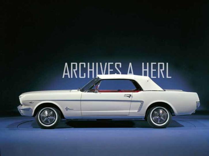 Ford Mustang 1964 new auto car model introduction foto, Verzamelen, Automerken, Motoren en Formule 1, Nieuw, Auto's, Verzenden