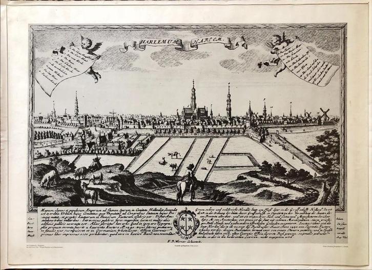 Gezicht op Haarlem (18de eeuw), Antiek en Kunst, Kunst | Litho's en Zeefdrukken, Ophalen of Verzenden