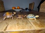 Houten en porseleinen schildpadjes, Huis en Inrichting, Stoffering | Vloerbedekking, Overige typen, Ophalen of Verzenden, Zo goed als nieuw