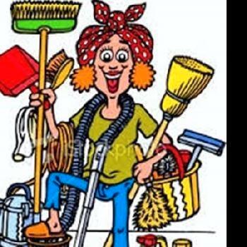 Schoonmaakster aanfeboden beschikbaar voor biedingen