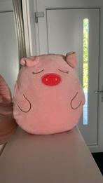 Plushie, Ophalen of Verzenden, Zo goed als nieuw, Overige typen
