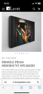 Profile Pr300 Sidemount Speakers | Set | 60 dagen garantie, Audio, Tv en Foto, Luidsprekers, Gebruikt, Ophalen