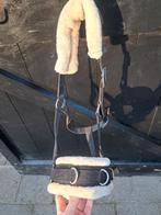 Halsters cob maat nikki etc., Dieren en Toebehoren, Ophalen of Verzenden, Overige soorten