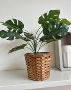 Plant in pot ikea, Tuin en Terras, Overige materialen, Rond, Ophalen of Verzenden, Zo goed als nieuw