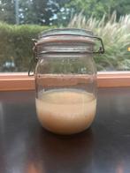 Biologische waterkefirkorrels, Diversen, Levensmiddelen, Ophalen of Verzenden