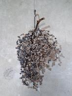 Gedroogde dadeltakken dadeltak droogbloemen sober wonen deco, Huis en Inrichting, Woonaccessoires | Droogbloemen, N, N, Nieuw