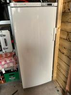 Bosch Economic Vrieskast - 5 Lades - Werkt Goed!, Witgoed en Apparatuur, Gebruikt, 160 cm of meer, Ophalen, Vrieskast