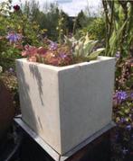 kubus bloempot wit inclusief bio tuinplanten, 25 tot 40 cm, Kunststof, Vierkant, Ophalen of Verzenden