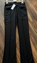 Ambika pantalon , flair en normaal s en xs, Nieuw, Ophalen of Verzenden