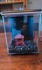 Super fish 8 in nieuwstaat, Dieren en Toebehoren, Ophalen of Verzenden, Zo goed als nieuw