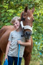 Bijrijder gezocht, Dieren en Toebehoren, Paarden en Pony's | Verzorgingsproducten, Ophalen of Verzenden