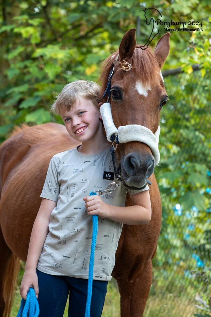 Bijrijder gezocht, Dieren en Toebehoren, Paarden en Pony's | Verzorgingsproducten, Ophalen of Verzenden