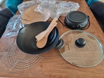 Wokpan electrisch beschikbaar voor biedingen