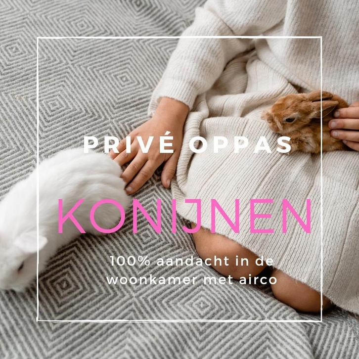 Met spoed nog op zoek naar opvang in de kerstvakantie?, Dieren en Toebehoren, Konijnen, Dwerg, Meerdere dieren