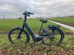 Gazelle Avignon C380 enviolo, riemaandrijving, 625Wh, Fietsen en Brommers, Elektrische fietsen, 51 tot 55 cm, Ophalen, Zo goed als nieuw