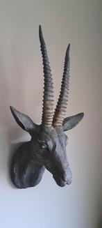 Gazelle kop, Ophalen of Verzenden